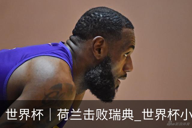 世界杯｜荷兰击败瑞典 世界杯小组赛连续18场不败